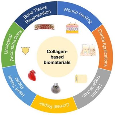  Collageen: De Wonderlijke Toepassingen van een Natuurlijk Biomateriaal!